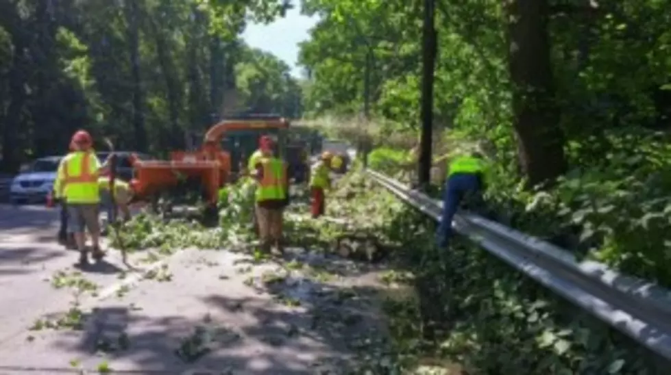 Camden County DPW crews working on clearing and chipping old growth trees that fell last night on Rt. 561 in Cherry Hill.