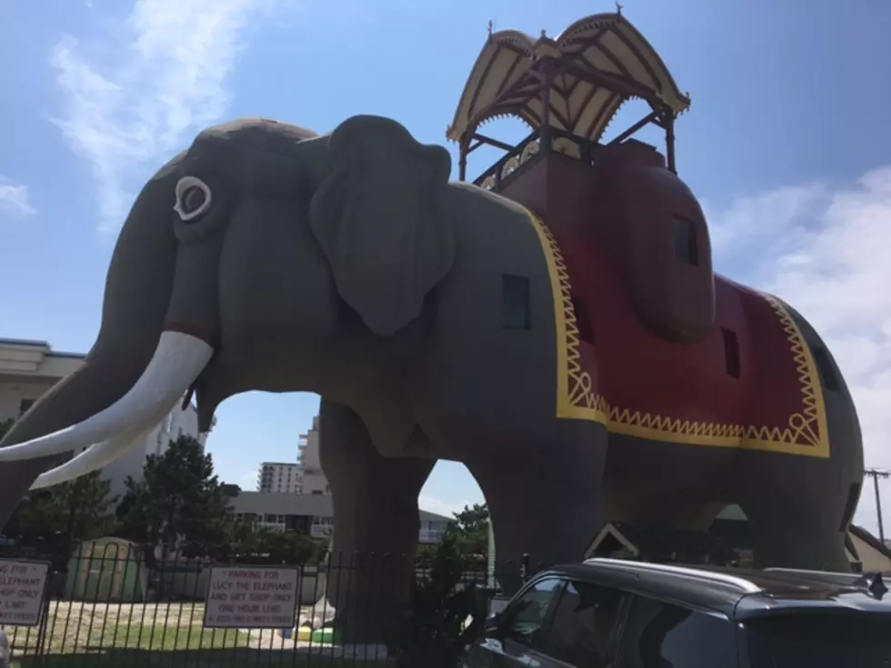 Lucy The Elephant Margate