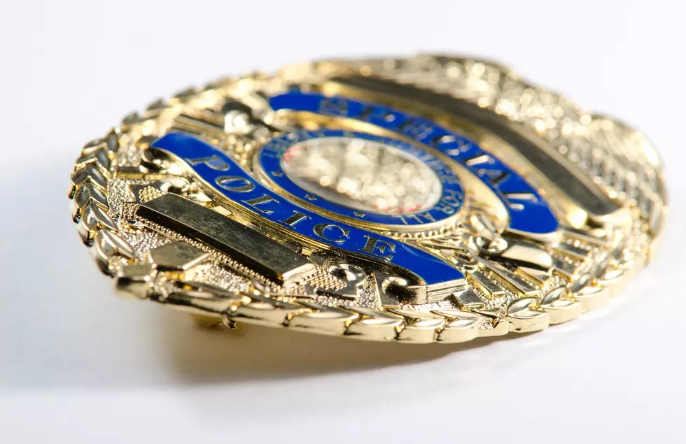Ocean County, NJ, Man Sentenced For Illegally Possessing Rifle, Fake Federal ID Badges