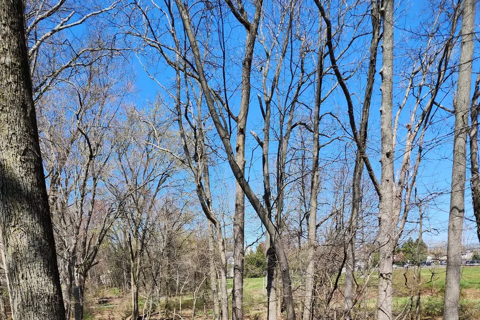 Tuesday will probably be NJ’s first 70-degree day of the year