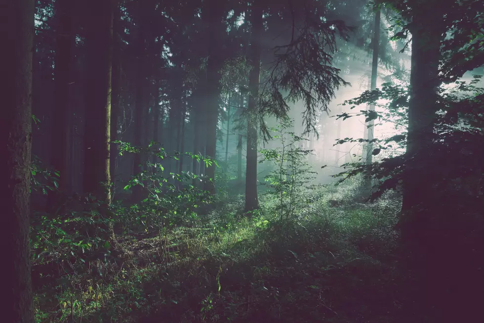 New Jersey’s Eeriest, Creepiest Abandoned Building Has Been Revealed