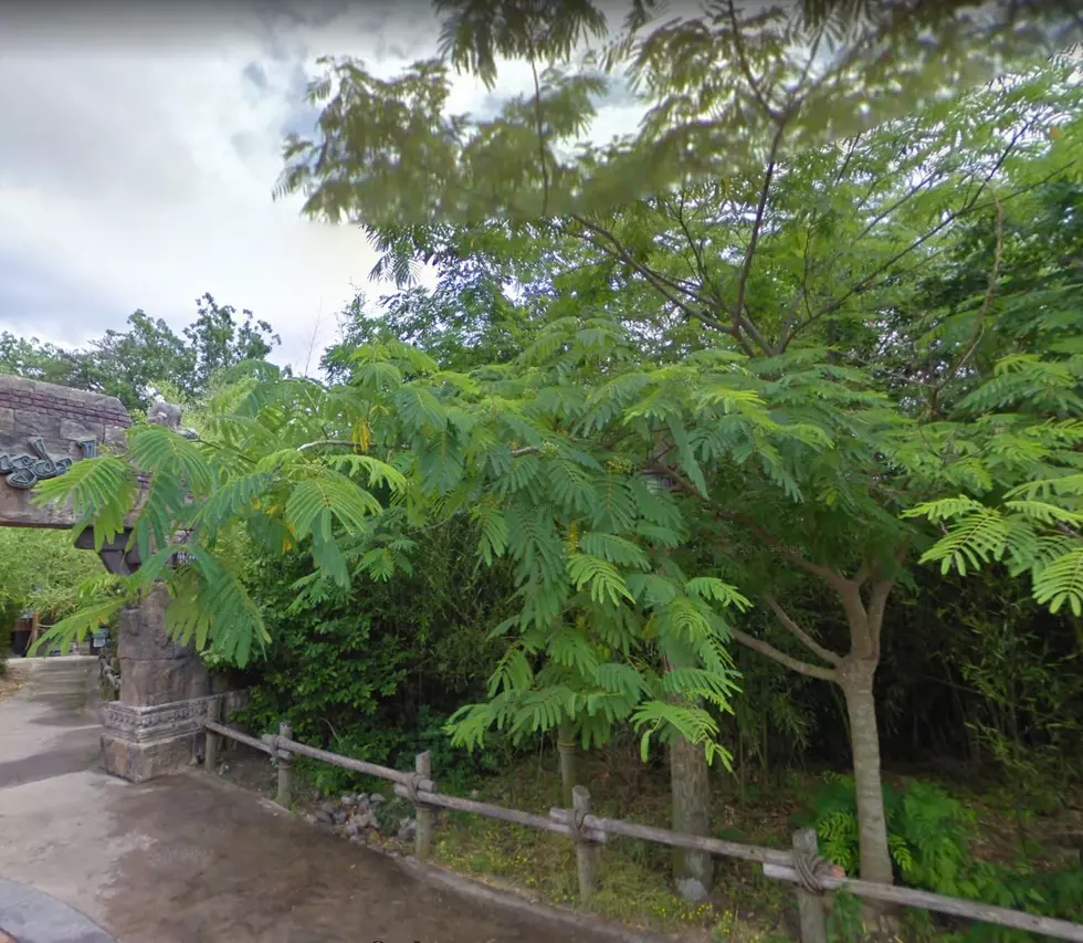 This Is New Jersey’s Amazing Record Breaking Attraction
