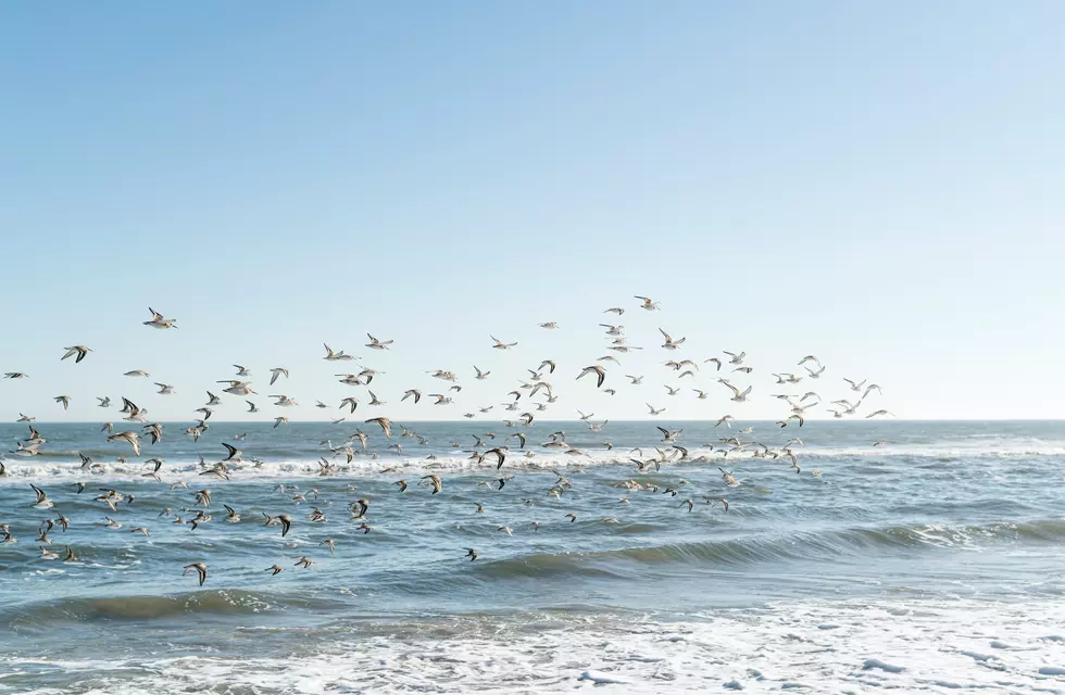 New Jersey Town Named Among The Best In America For Great Family Vacations