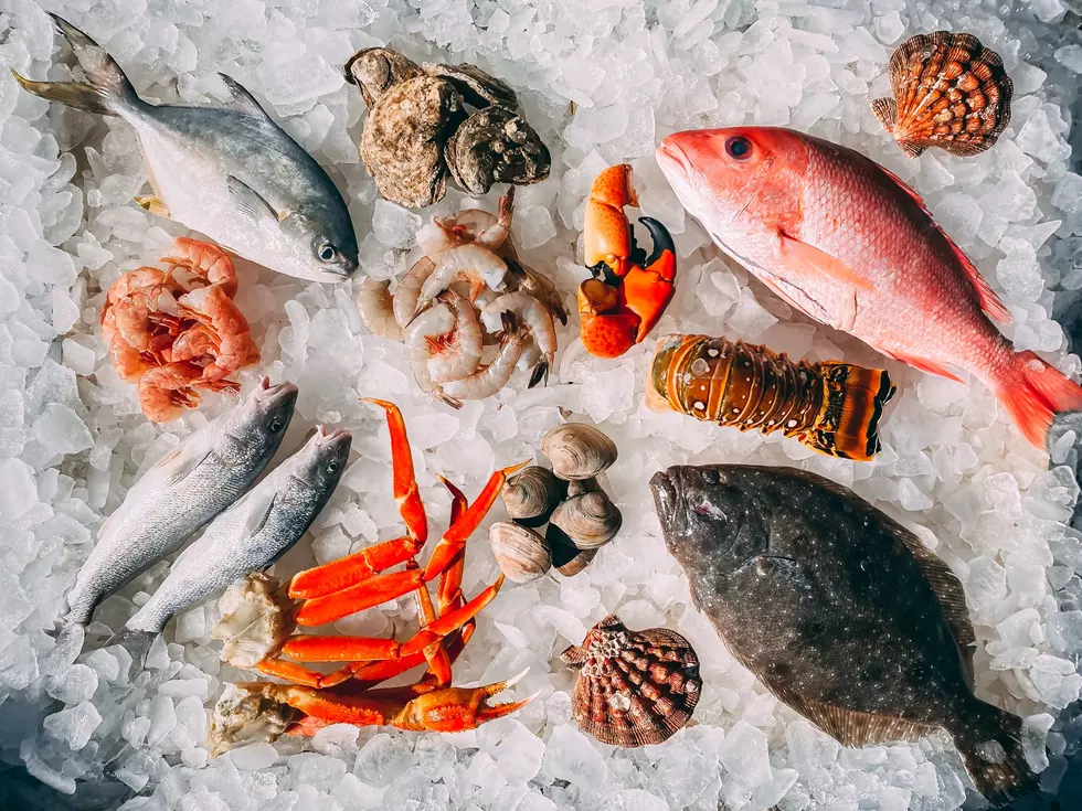 Fun & Delicious! The New Jersey Seafood Festival This Weekend in Belmar