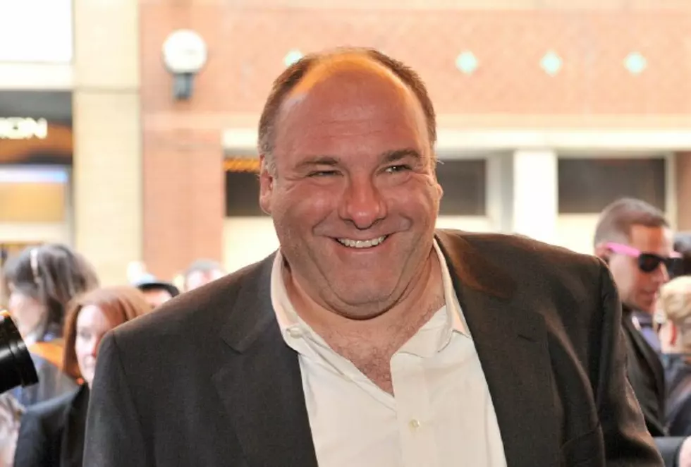 Italian Paramedic on Trial for Stealing James Gandolfini’s Watch