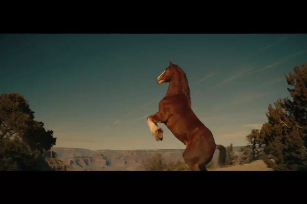 Okay, But Where Were the Clydesdales?