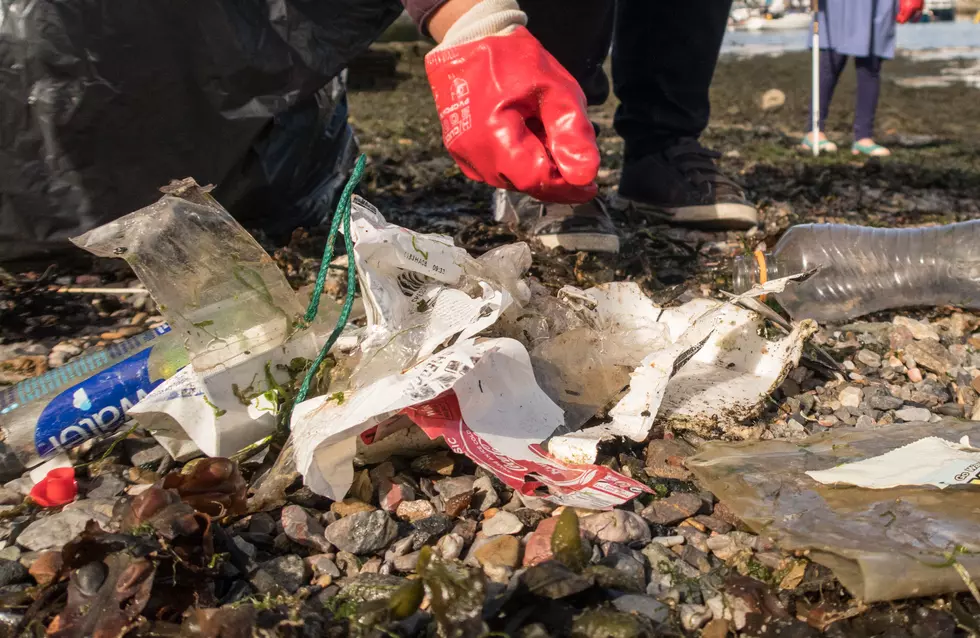‘South Jersey Scrub’ Plans to Help Clean 500 lbs of Litter in SJ