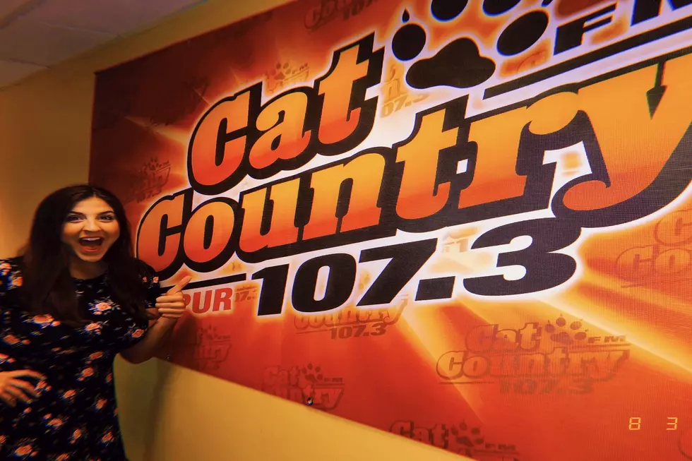 5 Facts That Will Make You Fall in Love With Cat’s New Morning Gal