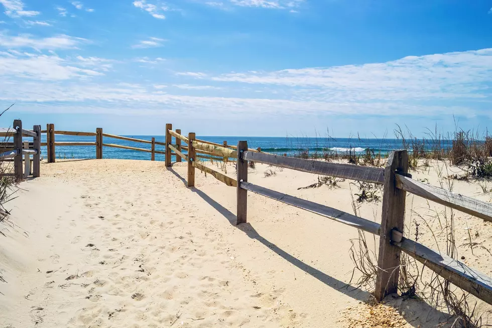 It’s Time To Celebrate Local Summer