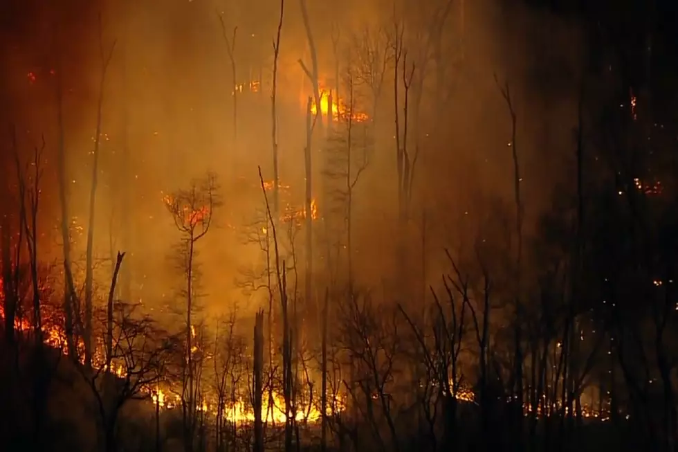Browns Mills Wildfire Continues To Spread