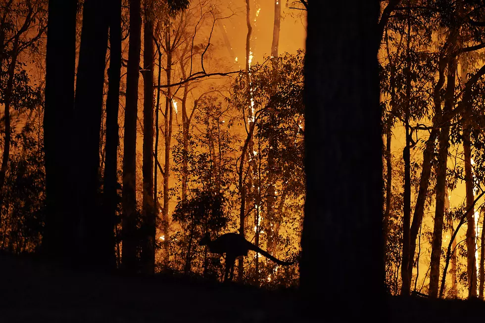 Australia Is Burning and My Heart Is Breaking