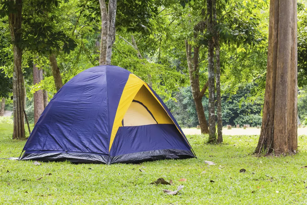 Free Craigslist Tent in Mt. Laurel Includes Everything But the Tent