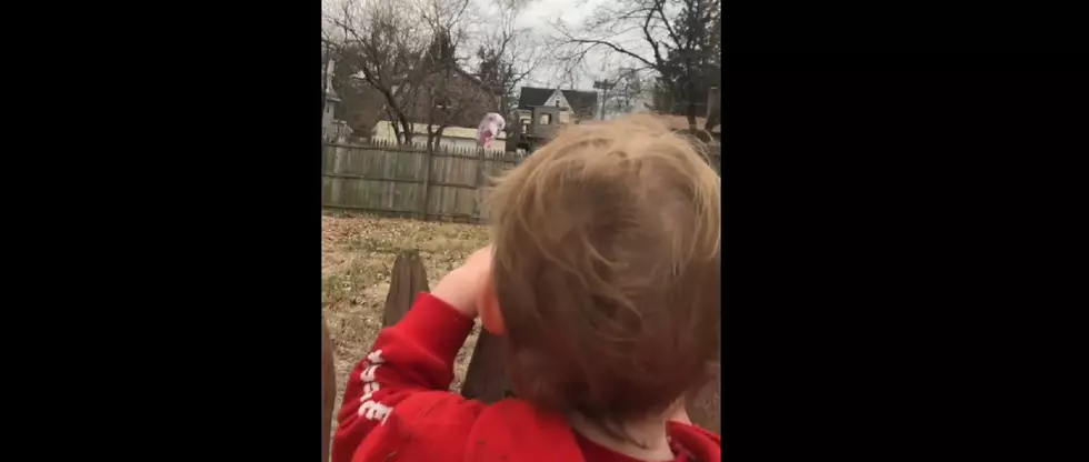 Fat Head Feeds Gloucester County Toddler’s Obsession With Neighbor’s Dog