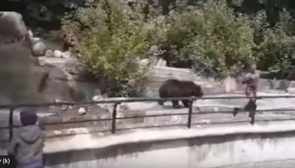 Dumb Story of the Morning: Video Captures Man Wrestling With Bear