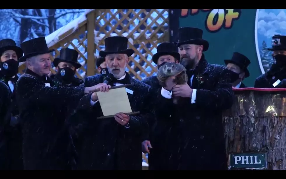 Will Winter Continue? The Groundhog Day Verdict Is In