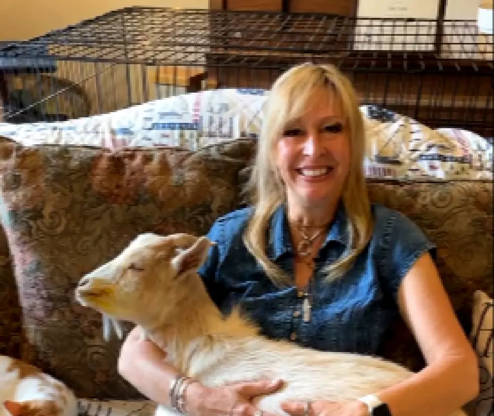 Mays Landing’s Funny Farm Founder Has Written a Book