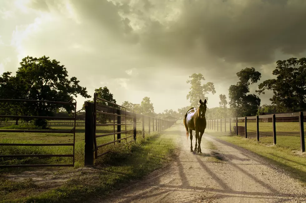 Photo by Jacob Jolibois on Unsplash