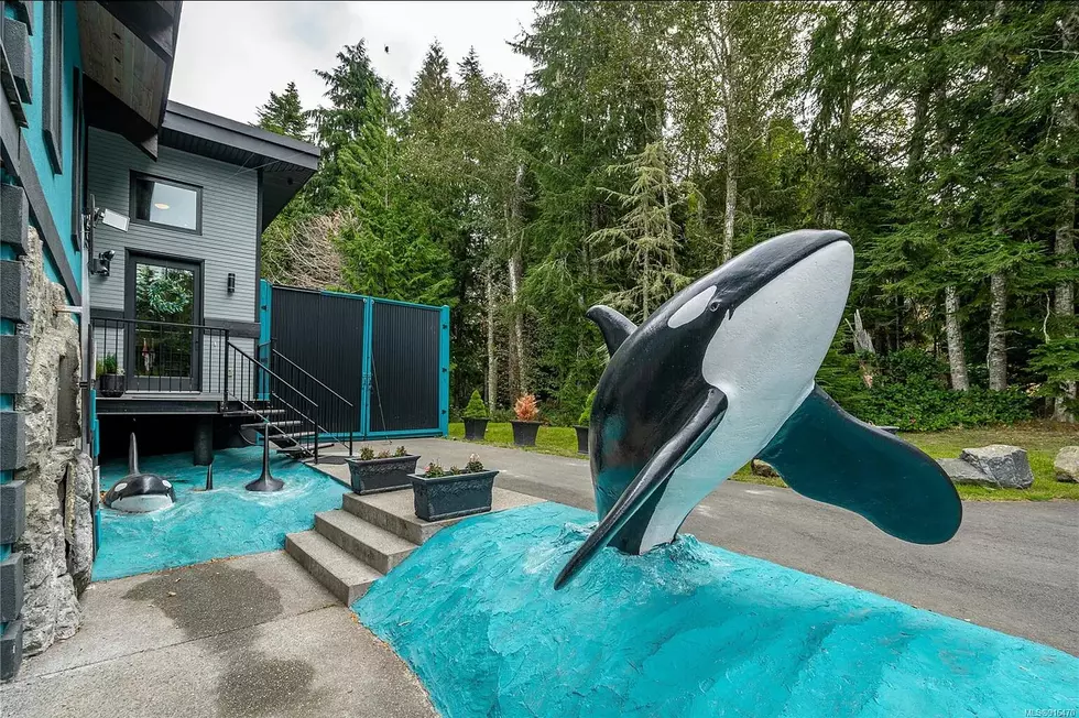 We Think This Whale House Should Be in Cape May, NJ