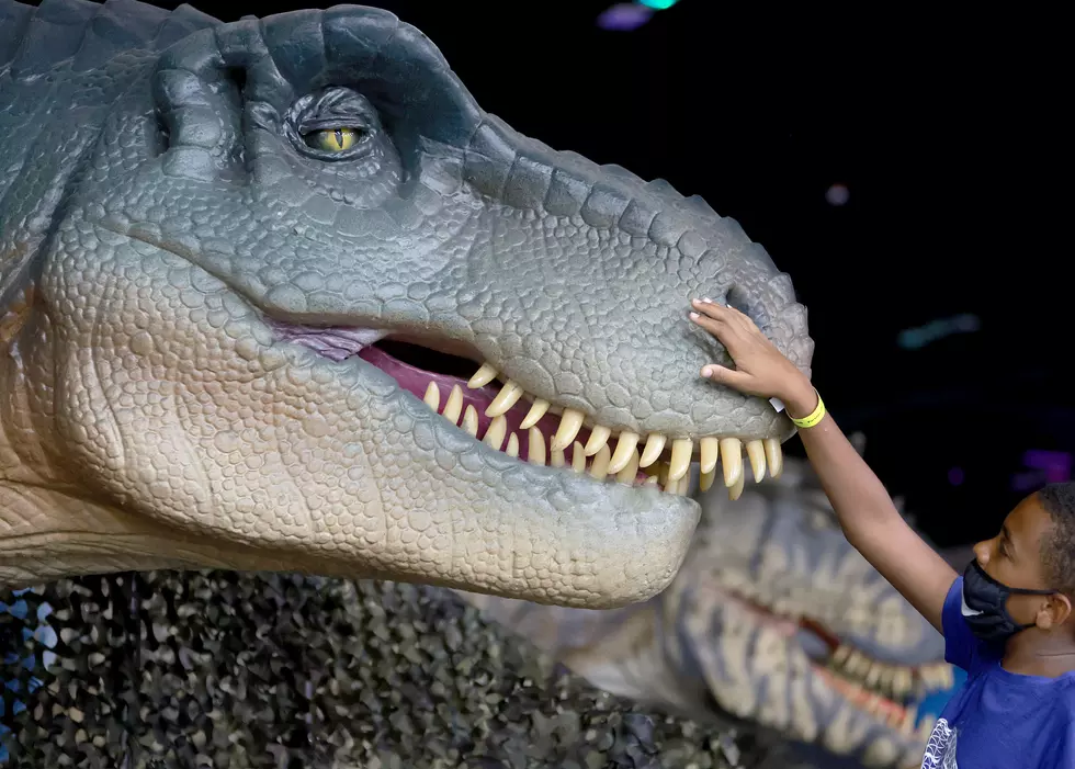 Celebrate Christmas With The Dinosaurs This Year In Philadelphia, PA