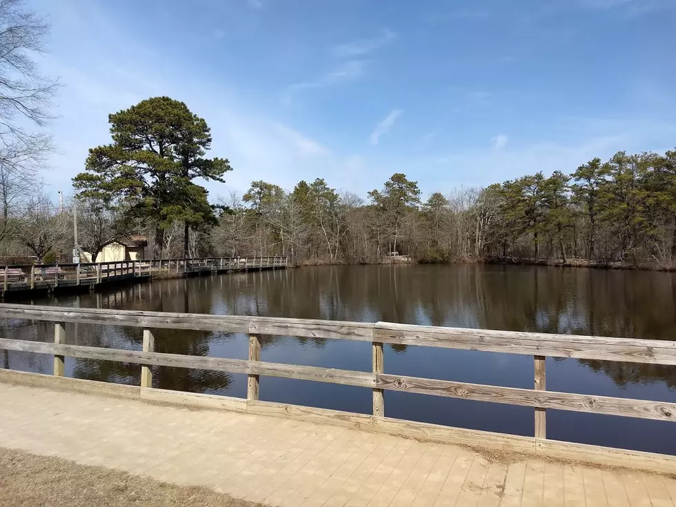 Saturday is Free Fishing Day in New Jersey