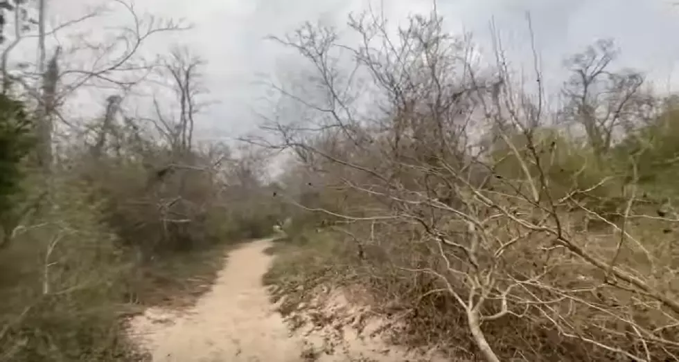 Many Believe Higbee Beach in Cape May NJ is Haunted By a Ghost