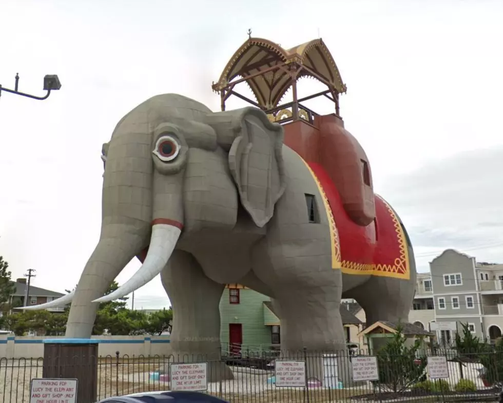 Margate’s Own Lucy The Elephant Deserved SO MUCH Better