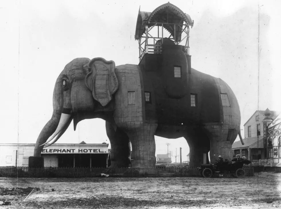 Elephant Hotel