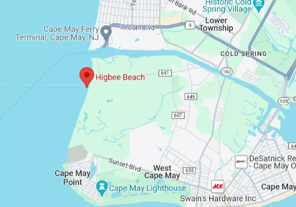 Cape May’s Higbee Beach Closing For Two Years