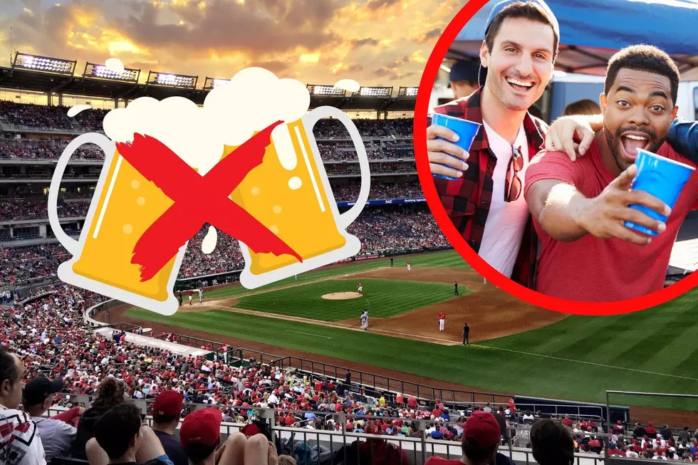 Philadelphia Phillies Fans: Debunking The Drinking Myth