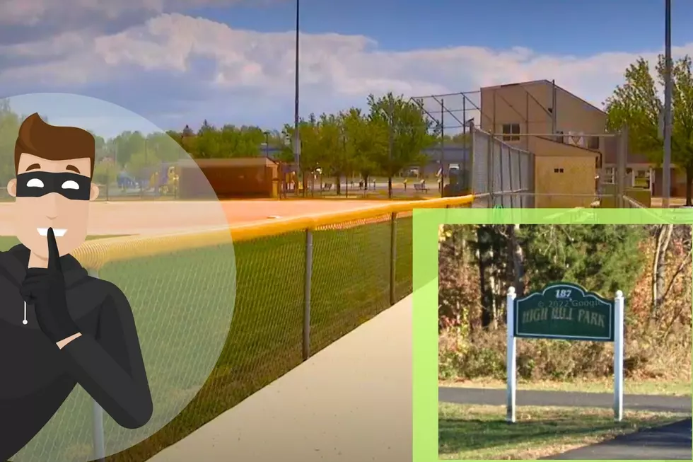 Turf Stolen From Swedesboro, NJ, Little League Organization