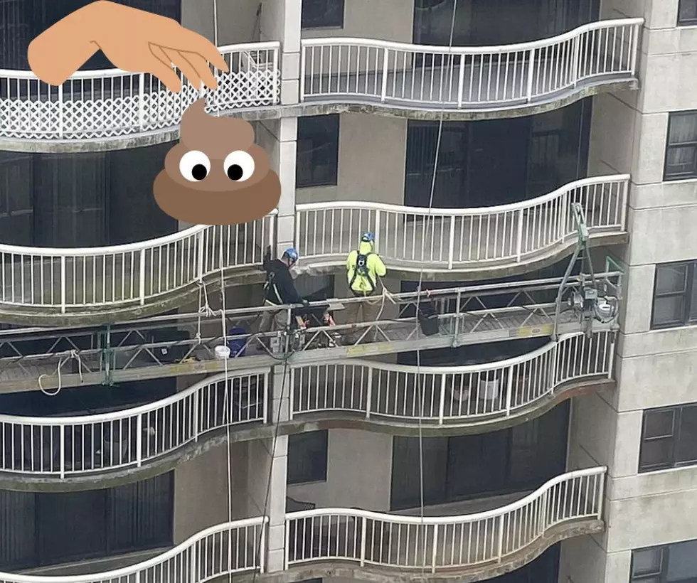 AC Condo Owners Warned About Hurling Dog Poop at Workers
