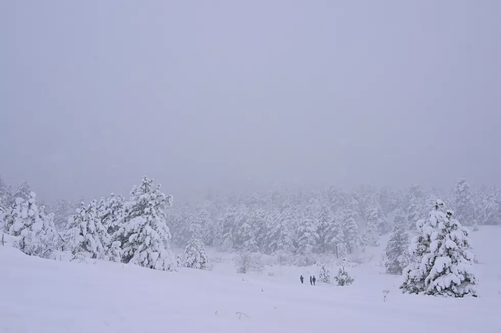 Mid March Snowstorm Dumps Over A Foot Of Snow In Boulder, Colorado Area