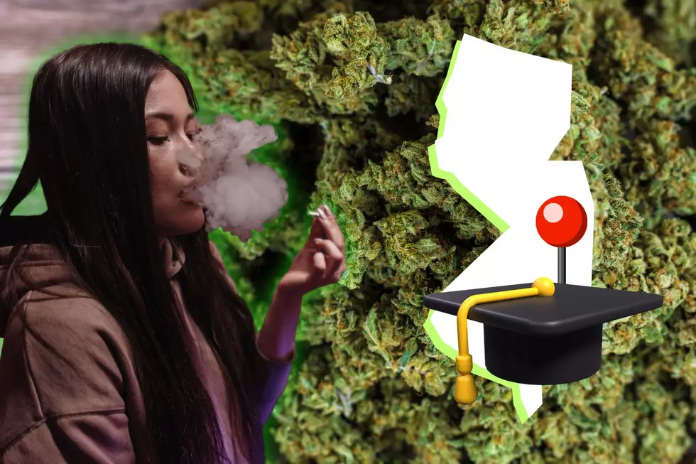 Major In Weed At Stockton University In Galloway, NJ