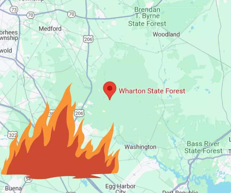Smell Smoke? It’s a South Jersey Forest Fire