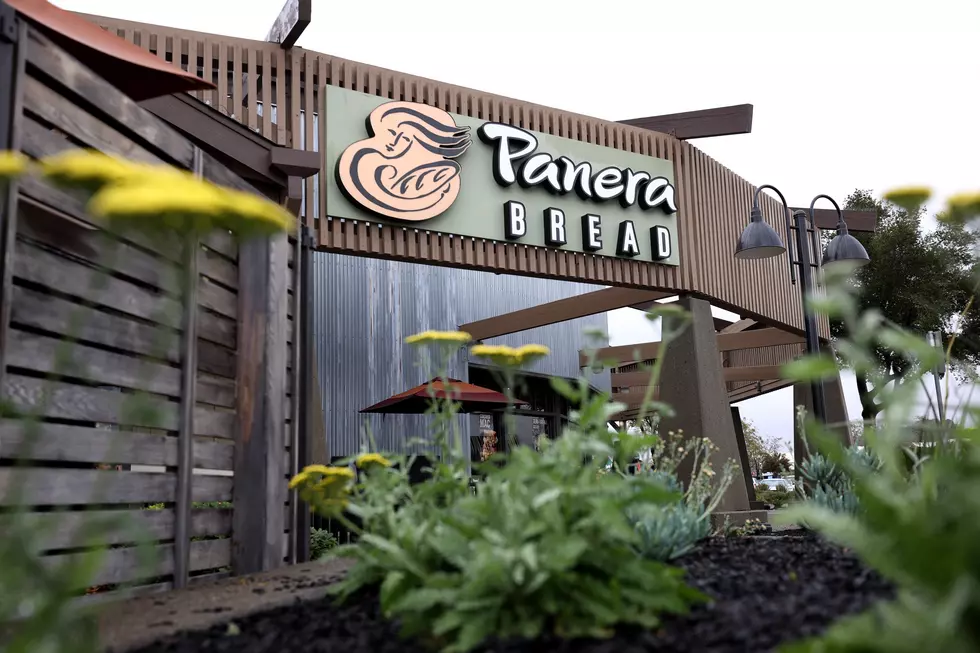 Panera Bread Coming to Somers Point – What Should Be Next?