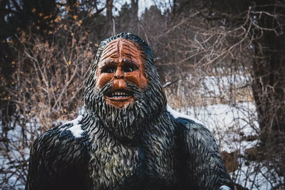 Bigfoot Reportedly Spotted 189 Miles From Atlantic City, NJ