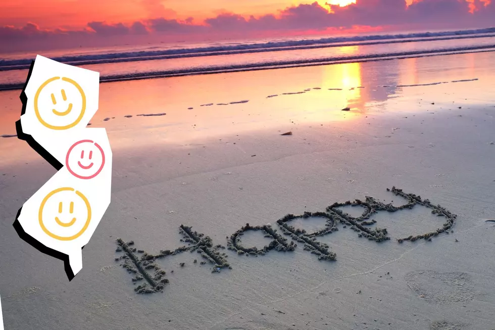 Survey Names New Jersey Among Top 3 Happiest States In America