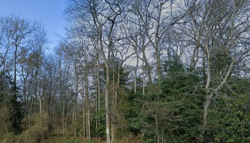 Man Claims He Was Attacked By a Charging Bigfoot In NJ Pine Barrens