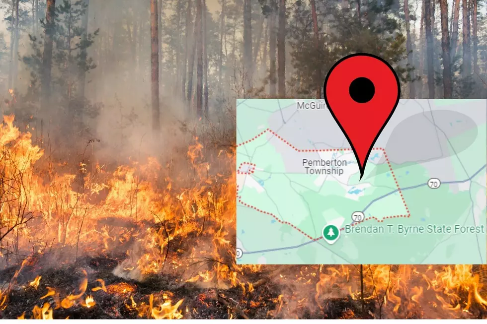 NJ Forest Fire Service Confirms New Wildfire In Burlington County