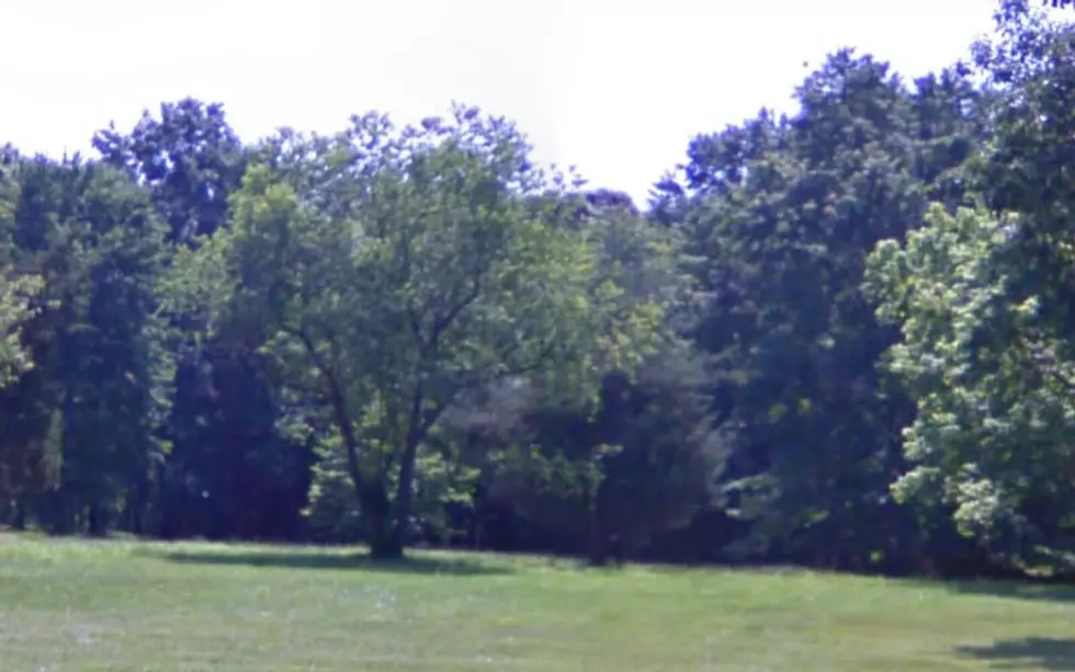 Resident Finds Possible Mountain Lion Tracks in Monmouth County, NJ