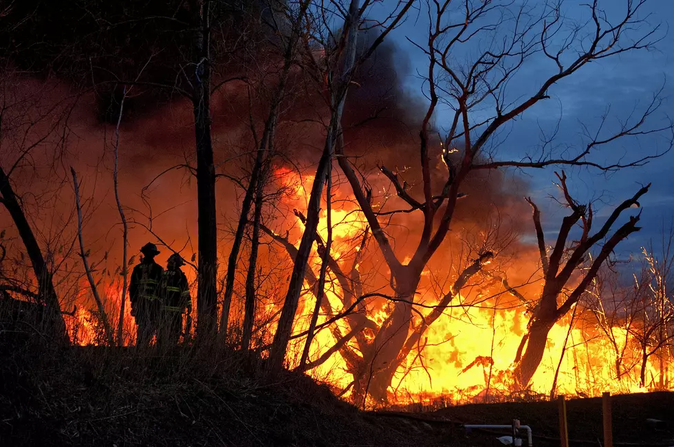 Wildfire Risk Is Rising Fast In New Jersey
