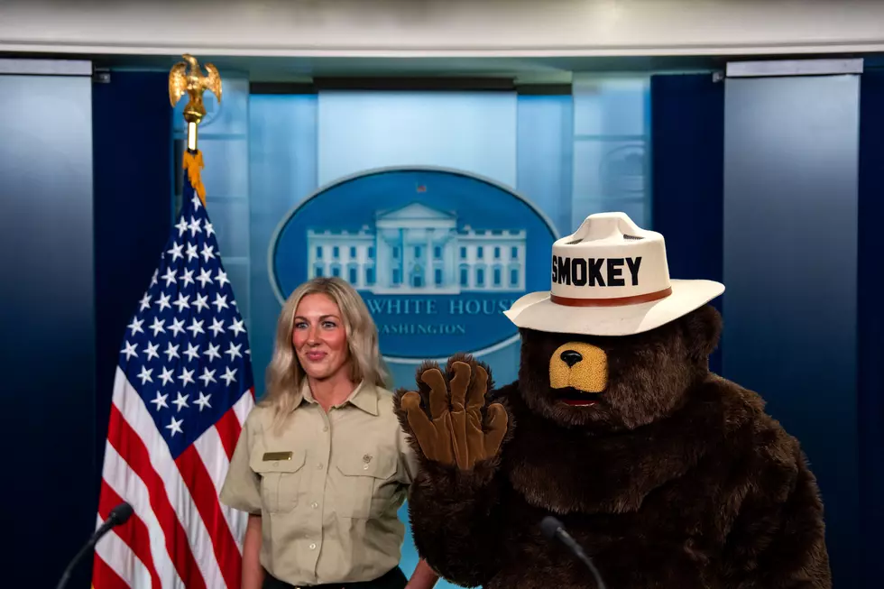 Smokey The Bear Visits The White House Press Brefifing Room