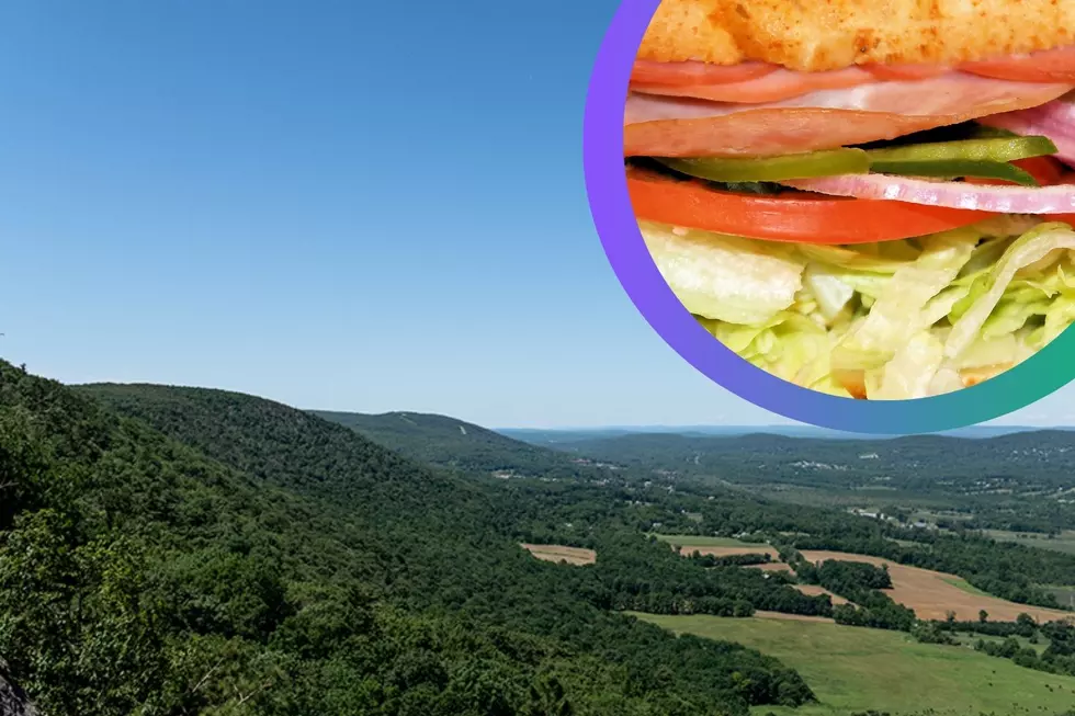 Hoagies AND Hikes? Make Plans For Some Holiday Hiking At NJ’s Wawa State Park