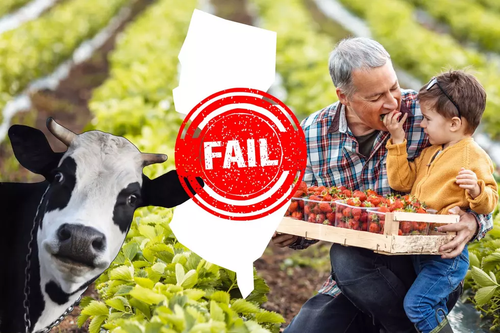 New Data Shows NJ Fails Miserably At Being The Garden State