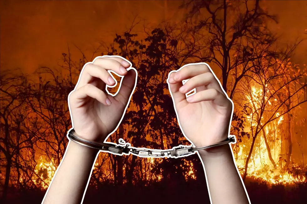 Teenager Charged With Setting Huge 52-Acre Forest Fire In South Jersey