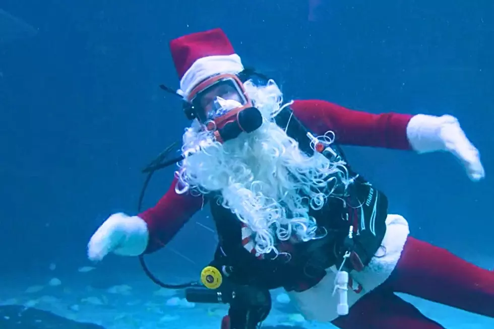 Dive Into A Magical Santa Experience At South Jersey’s Adventure Aquarium