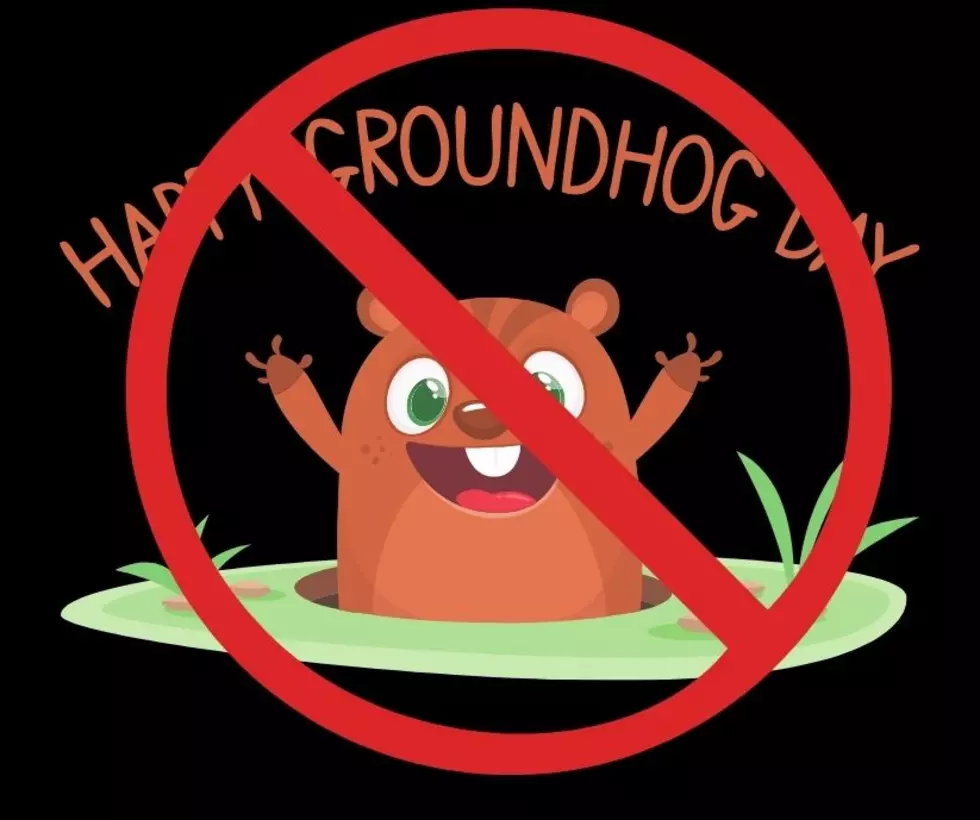 Groundhog Dead, No Groundhog Day in New Jersey