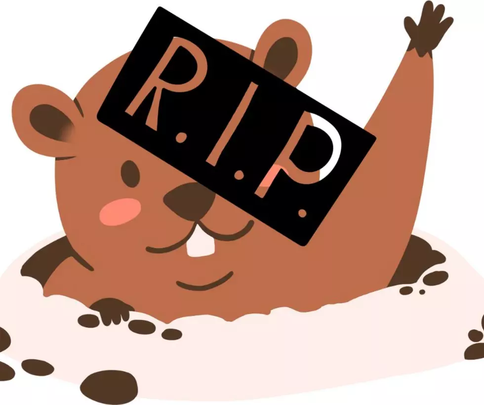 Call It Off! Another New Jersey Groundhog is Dead!