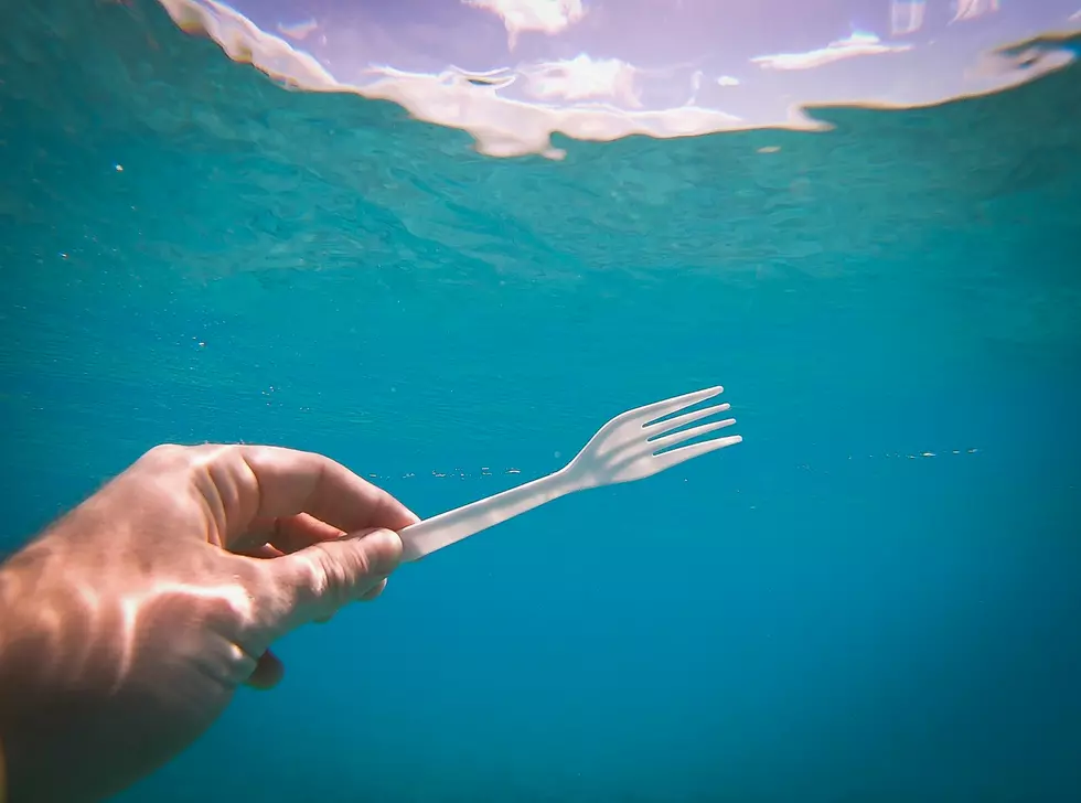 New Jersey: First They Take Away Plastic Straws, Are Plastic Forks Next?