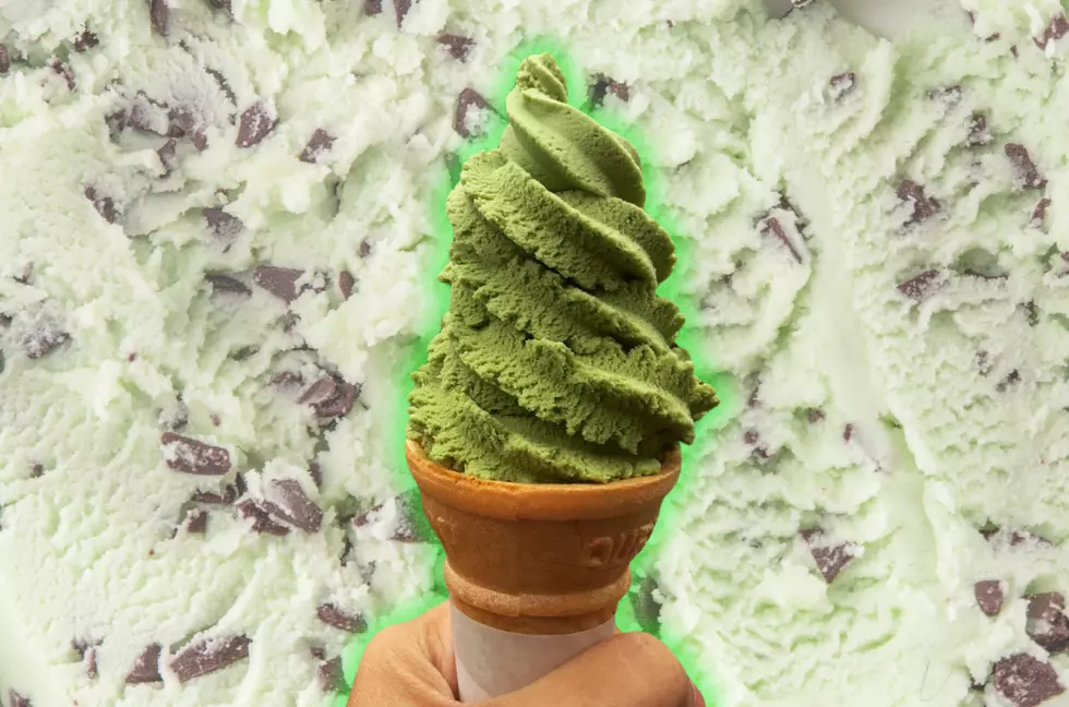 St. Paddy’s Day Came Early To Popular Northfield Ice Cream Shop